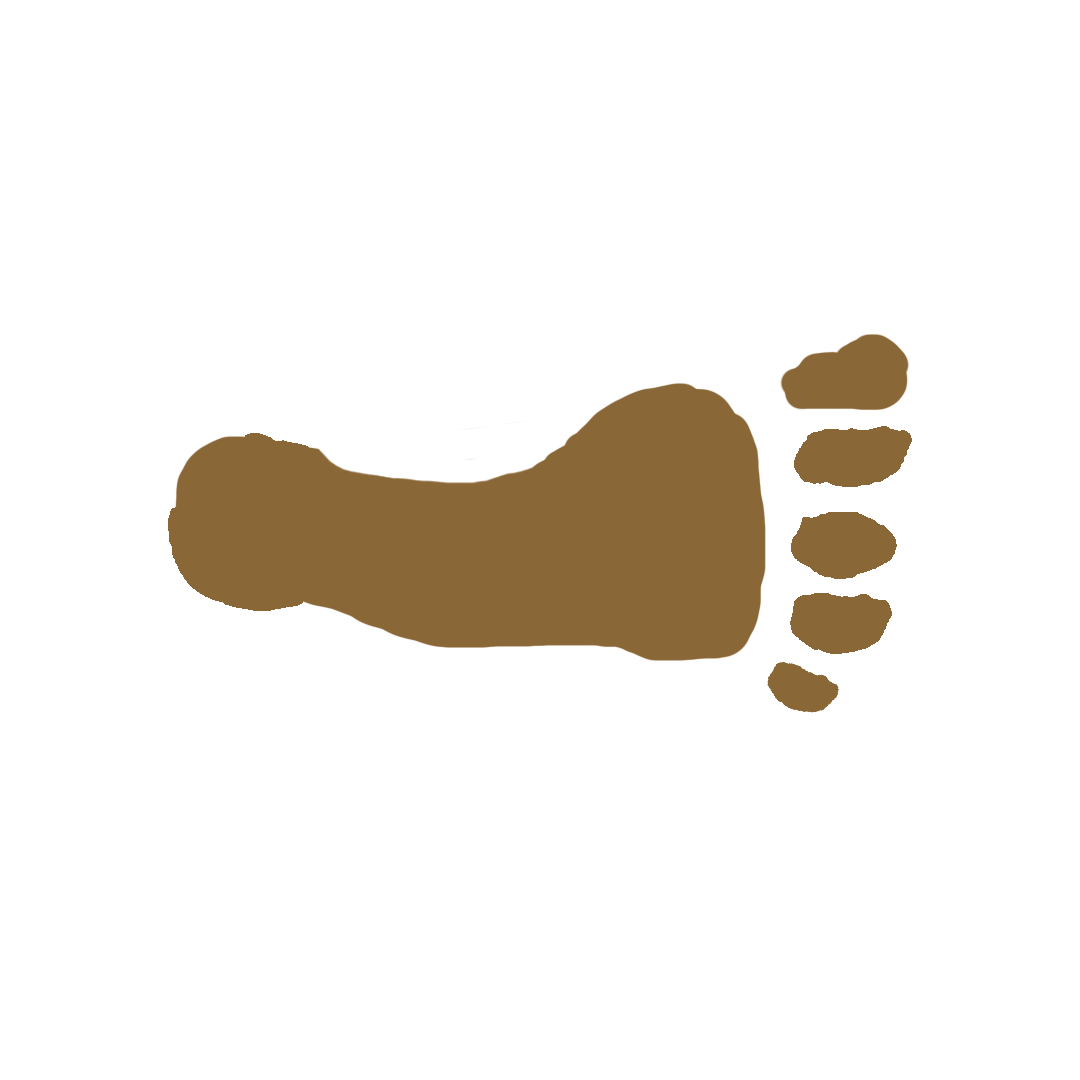 Icono de huella del pie